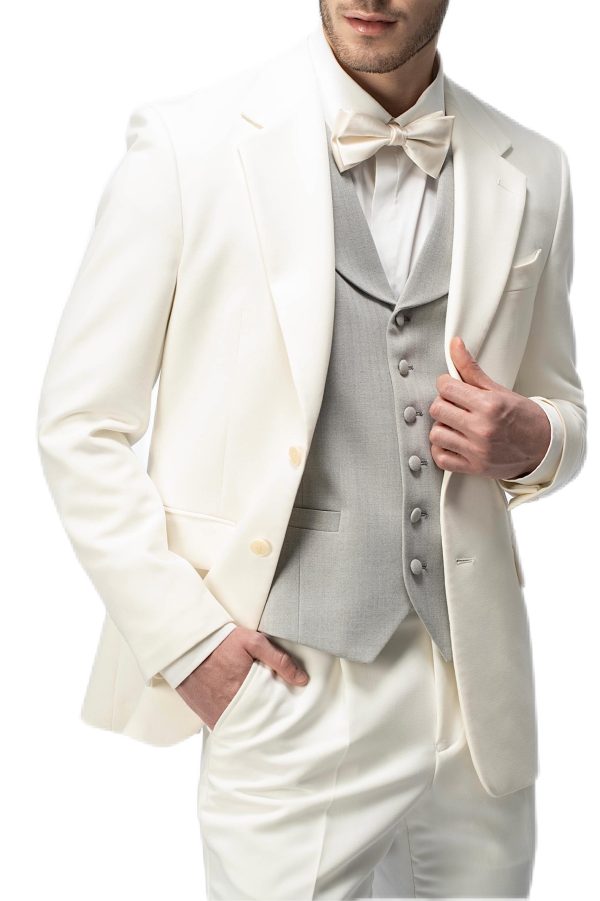 White Flat Collar with Grey Vest Suit
